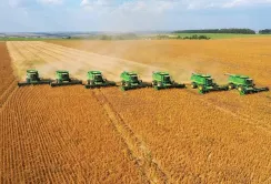 Аналіз аграрного ринку України: зміни цін та попиту на основні культури