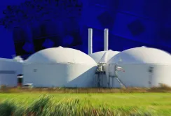 Уряд створив Координаційну раду з питань розвитку біоенергетики