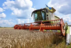 Чернігівщина відновлює сільське господарство