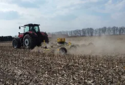 Результати розвитку кукурудзи за strip-Till сівби (результати AgriLab у рамках проєкту «Прибуткове поле»)