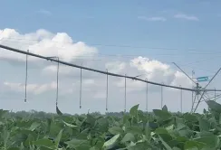 Фермери з Черкащини за допомогою USAID AГРО збільшили площі під поливом