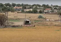Херсонське господарство збирає льон за 10 км від фронту: як працюють під обстрілами