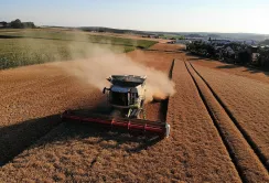 Програма «Доступні кредити 5-7-9%»: майже 32 мільярди гривень для аграріїв у 2025 році