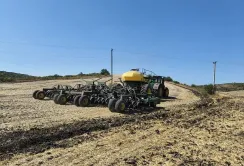 Через посуху озимий ріпак на Одещині почали сіяти з північних районів