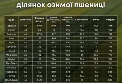 Волинь: ГК «Вілія» підбила підсумки демо-обмолоту пшениці