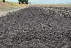Ціни на сільськогосподарські землі Миколаївщини падають