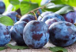 Ціни на сливи в Україні продовжують падати