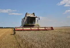 В МХП-Агро-С закінчили збирати ранні зернові