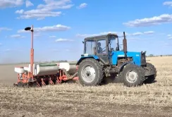 В ТОВ «Лиман» розпочали сіяти озимий ріпак