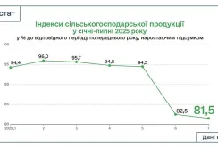 Виробництво сільгосппродукції в Україні знизилось на 18,5%