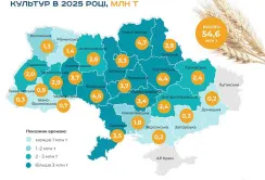 УКАБ оновив прогноз врожаю 2025 року