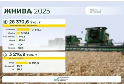 Жнива 2025: зібрано 28,4 млн тонн зернових та зернобобових
