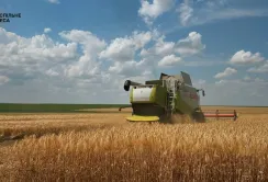 Одещина була і залишається житницею України 