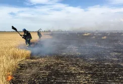 ВАР закликала Уряд надати пріоритетну підтримку постраждалим агропідприємствам