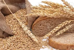 Вартість хліба може зрости на 25 %