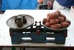 Коли в Україні почне дорожчати картопля