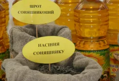 Якими будуть ціни на продовольство