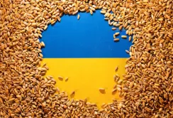 Уряд спростив надання адміністративних послуг у сфері насінництва 