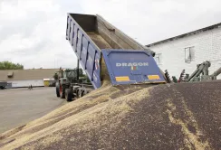 Порушення правил експорту сої та ріпаку може коштувати Україні підтримки ЄС