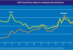 FAO: у серпні прогнози виробництва збільшено, але індекси цін майже не змінились
