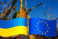 Євроінтеграція вітчизняного аграрного сектору коштуватиме Україні $500 млн щороку