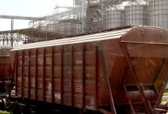 Обсяги перевезення зерна залізницею у вересні знизились