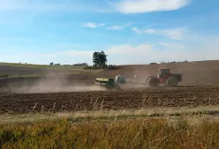 Україна сіє озимі: під урожай 2026 року буде менше пшениці, але більше жита