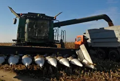 Вінницькі аграрії завершують жнива: врожайність вища, ніж торік