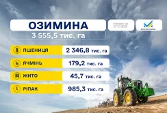 Осіння посівна 2025: аграрії засіяли понад 3,5 млн га озимих культур