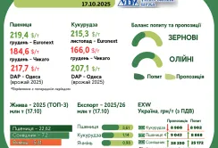 Тренди на ринку зернових та олійних з 9 по 16 жовтня