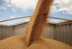 Українська продукція продовжує користуватися попитом в ЄС – Денис Марчук
