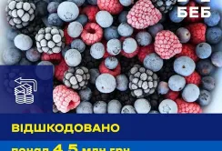 Підприємство, що експортувало ягоди, відшкодувало бюджету понад 4,5 млн грн збитків