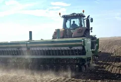 Господарства Tekom Agro Group через посуху посіяли менше озимого ріпаку, ніж планували