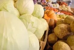 Українська капуста – лідер продажів на плодоовочевих майданчиках, а картопля дорожчає