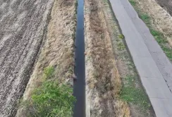 Зміна клімату та низький врожай: як підрив Каховської ГЕС вплинув на аграріїв Херсонщини у 2025 році