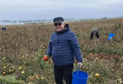 Польські фермери змушені безкоштовно роздавати врожай