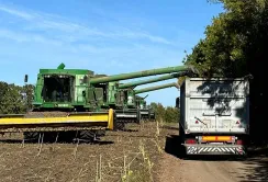 Tekom Agro Group закінчив збирати соняшник