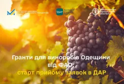 Винороби Одещини отримають гранти від ФАО та уряду Італії