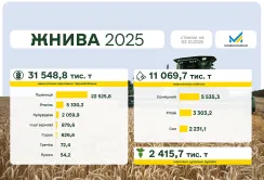 Жнива 2025: зібрано понад 31,5 млн тонн зернових і зернобобових