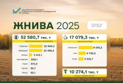 Жнива 2025: обмолочено 89% зернових