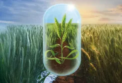 Corteva допоможе українським фермерам адаптуватися до кліматичних викликів з новим продуктом Біофордж®