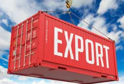 Уряд готує постанову: які квоти експорту агропродукції пропонують на 2026 рік