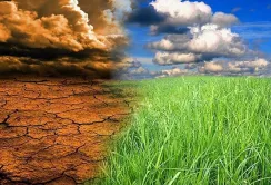 Агросектор недоотримує кошти на адаптацію до зміни клімату, – ФАО