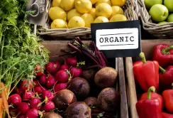 Експорт української органічної продукції відновлюється