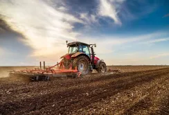 Посівна 2025: засіяно 98,1 % від прогнозованих площ