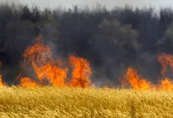 Стихійні лиха коштували світовому сільському господарству 3,26 трильйона доларів за 33 роки
