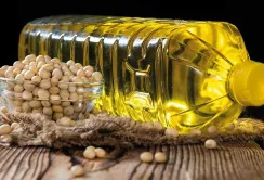 Прогноз USDA: виробництво олійних культур у світі знижують, але ціни продовжують падати