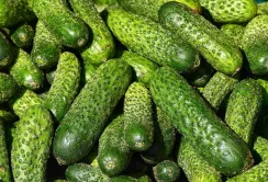 Ціни на тепличні огірки продовжують зростати