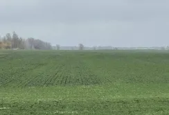 В «Агро-Регіон» створили мобільний застосунок для роботи з договорами оренди земельних ділянок