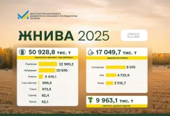 Жнива 2025: зібрано майже 51 млн т зернових